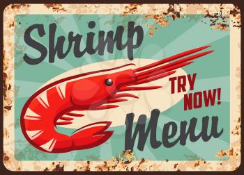 Fresh shrimps restaurant menu rusty metal plate. Sea pram catch, seafood dish vector. Seafood cafe meal with shrimp, pram meat retro banner, vintage signboard with rust texture frame
