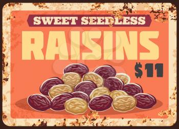 Raisins fruits rusty metal plate, sweet food price and farm market sign, vector vintage poster. Natural organic dried raisins of red and white seedless grapes fruits, store price sign plate with rust
