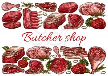 Butcher shop, pork, veal and poultry meat. Hand drawn sketch vector ribs, chicken or turkey, pork or beef leg, tenderloin, steak and belly, bacon strips, sirloin and filet mignon, meat flavoring herbs