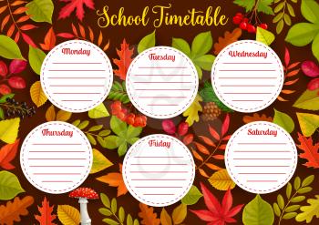 Education school timetable with autumn leaves, weekly student schedule vector template with plants foliage and berries. School time table, student classes with oak, maple and rowan with chestnut leaf