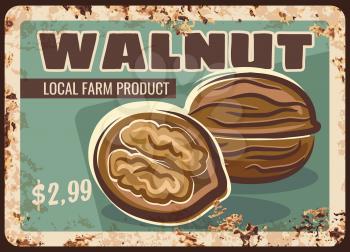 Walnut nuts metal rusty plate, market price sign, vector retro poster. Walnut in shell, organic natural raw food, culinary ingredient and snacks, farm store price metal plate rust
