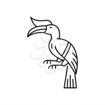 Tucan bird line art drawing, tropical bird with massive bill isolated linear icon. Vector hand drawn feathered parrot animal, toco fowl with long beak, exotic rainforest jungle bird of Thai Thailand