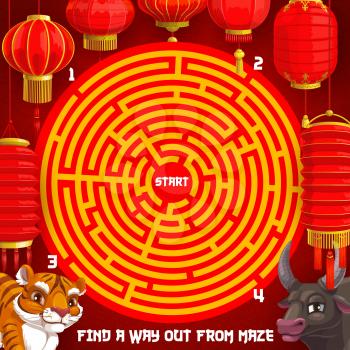 New Year puzzle riddle, holiday maze for kids with Chinese zodiac animals. Child educational playing activity, children labyrinth game. Tiger and bull cartoon characters, China paper lanterns vector