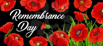 Remembrance Day poster with poppies for British national memorial anniversary of war soldier. 11 November Anzac Day design with red poppy flowers, symbol of freedom, remembrance commemorate