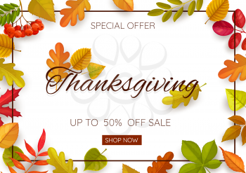 Thanksgiving day vector sale poster with autumn leaves and rowan berries. Special offer for store, mall and market shopping, promotion coupon with cartoon fallen leaves of oak, birch, chestnut, maple