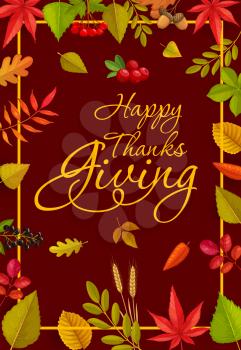 Happy Thanks Giving vector poster or greeting card with lettering and fallen autumn leaves and berries of maple, oak, birch or rowan and elm with cranberry. Thanksgiving day fall tree foliage frame