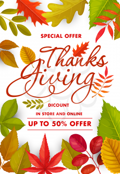Thanks Giving sale vector poster with autumn leaves. Special offer for store and online. Market shopping discount promotional coupon with cartoon leaves of rowan, oak, birch, chestnut, maple or elm