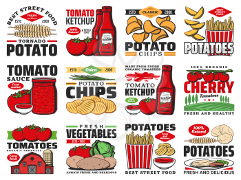 Tomato and potato food products, ketchup and chips, vector farm agriculture icons. Organic farming and food, natural tomato sauce and dishes from potato, fast food french fries and mashed potatoes