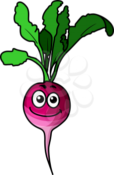 Cute fresh leafy beetroot vegetable with a purple smiling taproot for a healthy cooking ingredient, cartoon illustration isolated on white