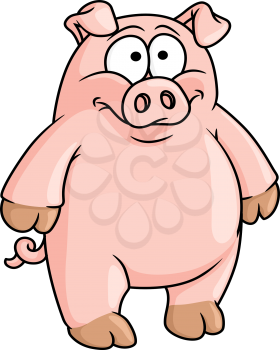 Fat happy pink cartoon pig isolated on white for failrytaile, agriculture or farming design