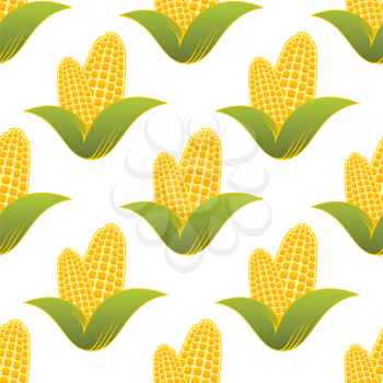Seamless pattern of farm fresh yellow corns for healthy diet suitable for food industry isolated over white background in square format