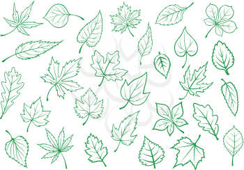 Green forest and field leaves icons in outline style for ecology and botany design