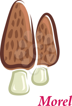 Cartoon illustration of two shaggy brown morel mushrooms, a fresh wild fungus considered a delicacy in gourmet cuisine