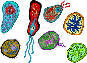 Colorful cartoon colorful amebas, amoebas, microbes, germs bacillus or microbial lifeforms for science, medicine and biology design