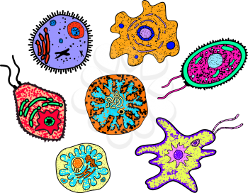 Cartoon various amebas, germs or microbial lifeforms. Suitable for science, medicine or education  design