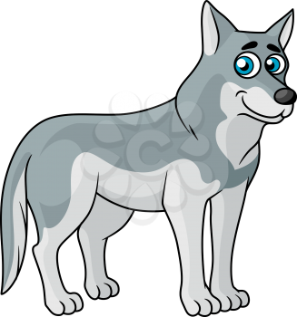Cartoon grey wolf standing sideways looking at the viewer with blue eyes, suitable for kids design