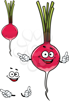 Cute happy fresh cartoon radish vegetable with waving arms pointing up, with a second plain variant with no face and separate elements