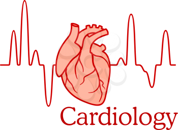 Cardiology concept with an ECG tracing of the heart beat and heart in a healthcare and medical concept