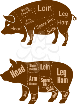 Meaty brown pigs with various outlines of different butchery cuts for retail pork and butcher shop design
