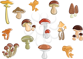 Collection of assorted colored cartoon mushrooms, toadstools and fungus