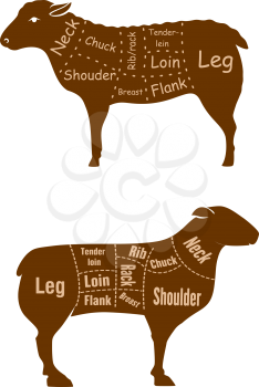 Lamb or mutton butcher cuts detailed diagramin retro style with brown silhouettes of sheeps with marked sections such as neck, shoulder, chuck, rib, rack, breast, tender loin, loin, flank and leg for 