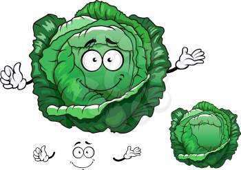 Crunchy fresh cabbage vegetable cartoon character with sappy bright green leaves, for vegetarian food or agriculture design