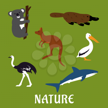 Australian native animals and birds icons in flat style with platypus, emu, kangaroo, koala, pelican and white shark with caption Nature