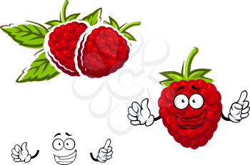 Red raspberry fruit character  in cartoon style with lush green sepals on the top and joyful smile, suitable for agriculture or natural food