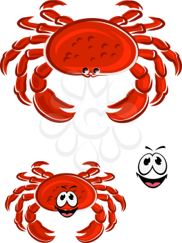 Funny red crab cartoon character with thick armoured shell, claws and smiling face for mascot or seafood design