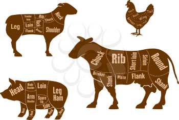 Chicken, pork, beef and lamb meat cuts scheme with marked parts and cutting lines, for butcher shop design