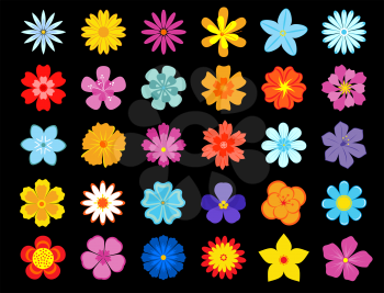 Colorful blooming flowers icons with daisies, gerberas, violets, cornflowers, asters and marigolds on black background