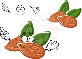 Happy sweet almonds cartoon character with nuts and green leaves showing upward, for agriculture or healthy food design