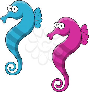 Funny striped blue and pink seahorse fishes cartoon characters with decorative wavy fins for underwater wildlife or aquarium mascot design