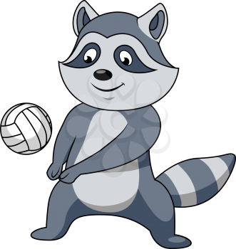 Cartoon raccoon player character with volleyball ball for sport or mascot theme design