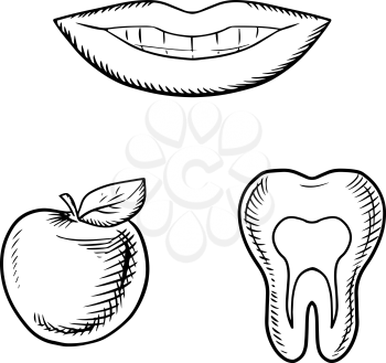 Pretty toothy smile, fresh apple fruit and cross section of healthy tooth with roots, for dental care or dentistry theme design. Sketch icons