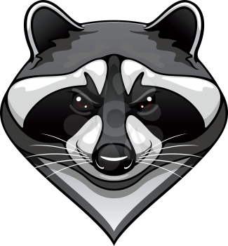Cartoon wild raccoon animal mascot for sport team or wildlife themes isolated on white