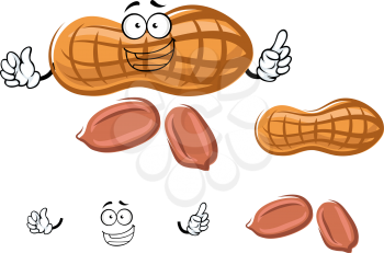 Joyful fresh peanut cartoon character with dry shell and peeled kernels, isolated on white background