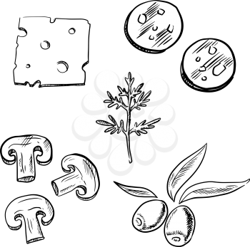 Italian pizza topping ingredients sketch icons with slices of cheese, salami sausage, mushroom, olive fruits and fresh dill