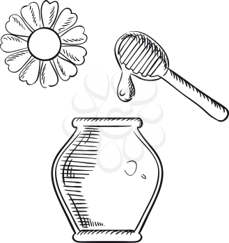 Natural healthful honey in glass jar with wooden dipper and daisy flower. Healthy nutrition theme design. Sketch elements
