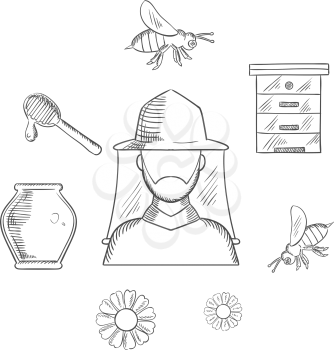 Beekeeping and apiary sketch icons with beekeeper in hat and apiculture symbols around him including honey jar, flying bees, flowers, wooden beehive and dipper with drop of honey. Vector sketch