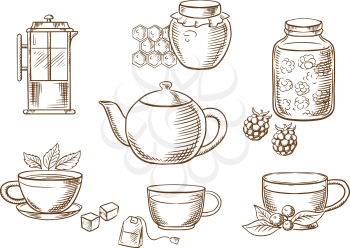 Sketched tea icons with jars, honey and raspberry jam, french press, various teacups with tea bag, sugar cubes, fresh leaves of mint and cowberry with porcelain tea pot. Vector sketch