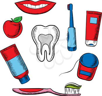 Dental hygiene medical objects with cross section of healthy tooth surrounded toothbrush, toothy smile, apple, toothpaste and floss 