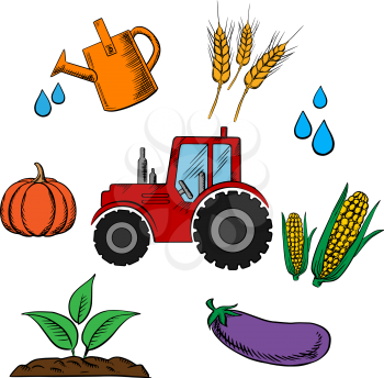 Agriculture industry and farming food icons with cartoon tractor and a circle of pumpkin, wheat, corn cobs, eggplant, water drops, farm and watering can