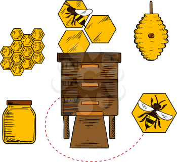 Honeycomb  design with bees flying near beehives, honeycombs and glass jar with honey, suited for beekeeping industry design
