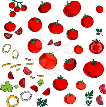 Red tomato vegetables icons with branch of sweet cherry tomatoes, green twigs of parsley and dill, sliced bell pepper and onion. Vegetable salad ingredients for vegetarian recipe or agriculture design