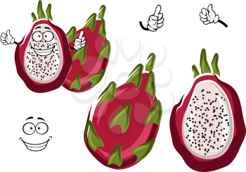 Cartoon ripe white fleshed pitaya fruit with leafy pinkish red peel. Happy dragon fruit character for exotic farm mascot, vegetarian recipe, tropical cocktail design usage 