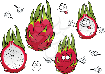 Whole and halved exotic pitaya fruits cartoon characters with vivid magenta peel, covered green spiky leaves with joyful smiling faces. Tropical cocktail menu, agriculture, vegetarian recipe design us