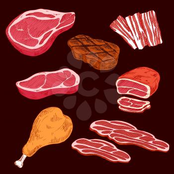 Sketch of sliced crude or raw meat products and ham or leg of pork, steak and sliced bacon, gamon or hind quarter. Concept of fat and high calorie food or nutrition.