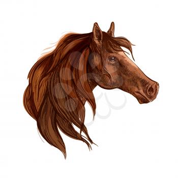 Bay horse with long mane vector portrait. Brown stallion mustang head wth gazing glance