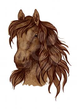 Brown running mustang portrait. Horse stallion looking ahead with wavy mane and kind shiny eyes
